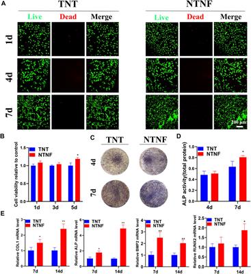 Titanium Nanobowl-Based Nest-Like Nanofiber Structure Prepared at Room Temperature and Pressure Promotes Osseointegration of Beagle Implants